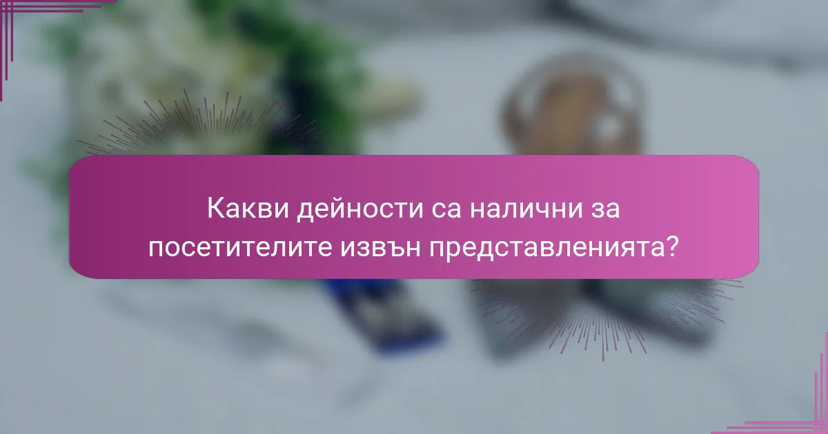 Какви дейности са налични за посетителите извън представленията?